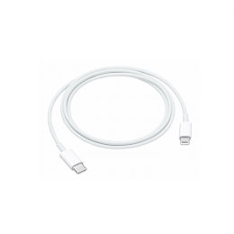 Apple Cable Lightning USB C MQGJ2ZM/A Pour