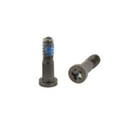 Apple iPhone Vis Torx Noir (x10) Pour