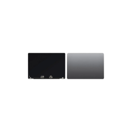 Apple MacBook Ecran LCD Complet FOG Gris Sidéral pour Apple MacBook Pro Retina 16" M1 Pro & M1 Max (2021) A2485