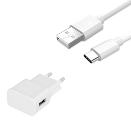 Google Adaptateur Secteur + Câble Type C Pour
