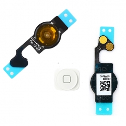 Apple iPhone Bouton Home Blanc Avec Nappe Pour iPhone 5c A1456 A1507 A1516 A1529 A1532