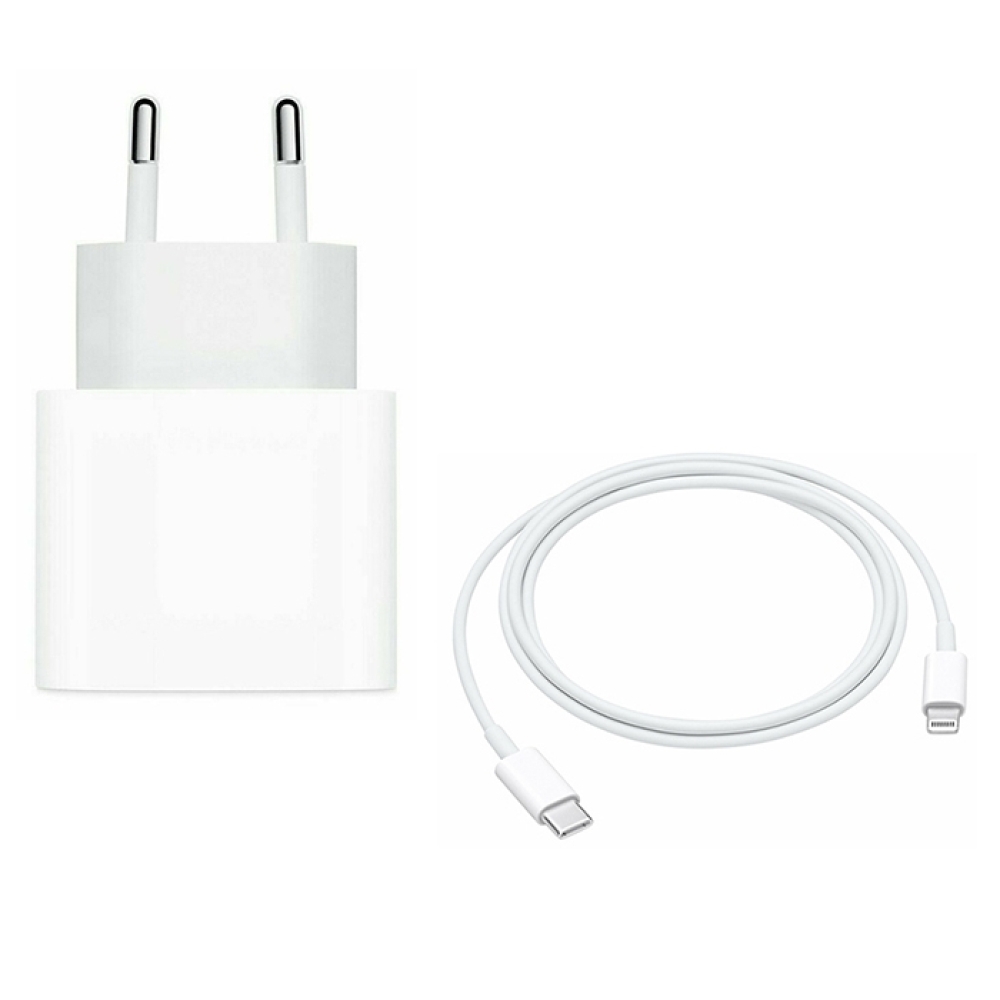 Adaptateur Secteur A2347 Type C 20W + Cable MQGJ2ZM/A Pour Apple iPad Pro  9.7 A1673 A1674 A1675