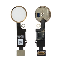 Apple Nappe Bouton Home Or V6 3D Pour