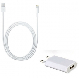Apple iPhone Adaptateur Secteur A1400 MD813ZM/A + Cable MD818ZM/A Pour