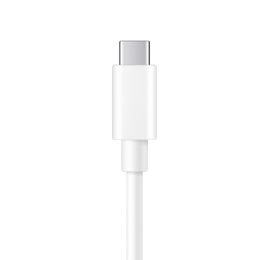 Vivo Câble Type C Blanc Pour