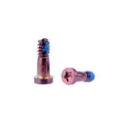 Apple Vis Torx Or Rose (x10) Pour